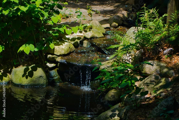 Obraz Bach, Bachlauf