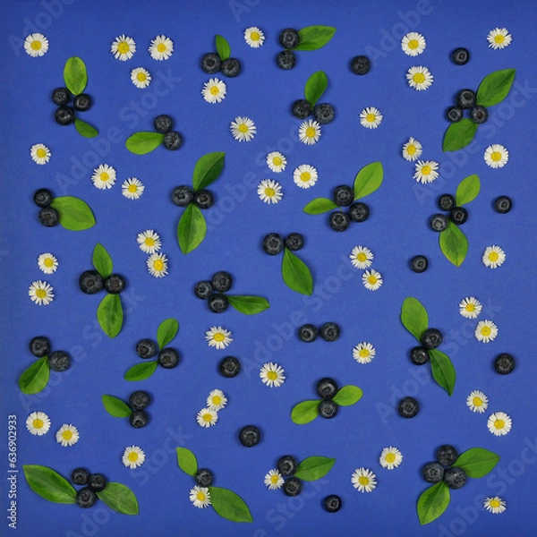 Fototapeta Set of blueberries with green leaves and small white daisies on dark blue background. Top view ,flat lay. 