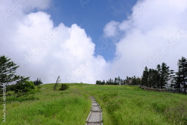 Fototapeta 美ヶ原高原のハイキング道