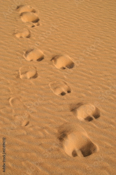 Fototapeta Camel traces in the desert