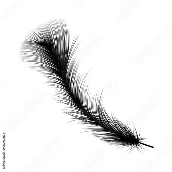 Fototapeta Feather isolated. Vector illustration. 