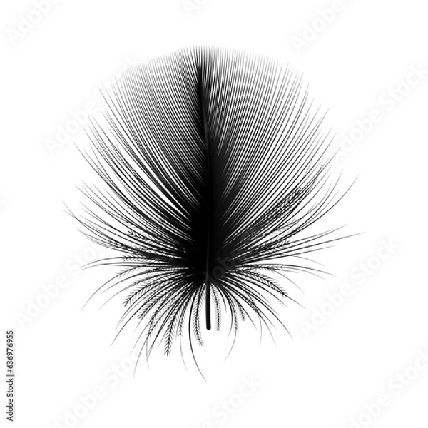 Fototapeta Feather isolated. Vector illustration. 
