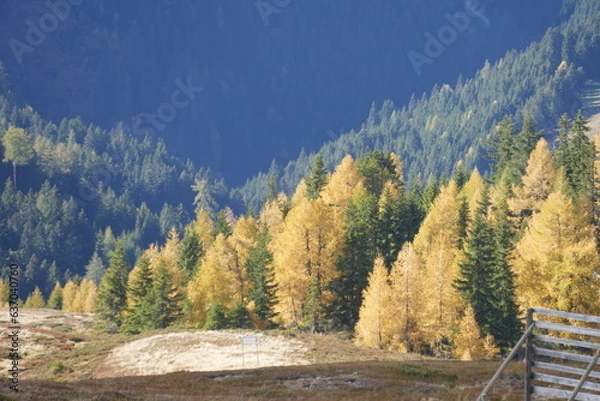 Obraz Herbst in den Bergen