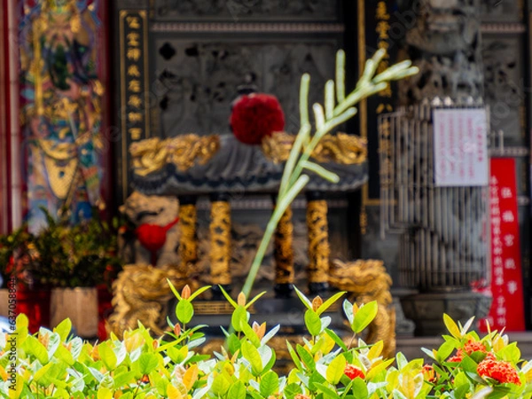 Obraz 青々とした草と中国式寺院