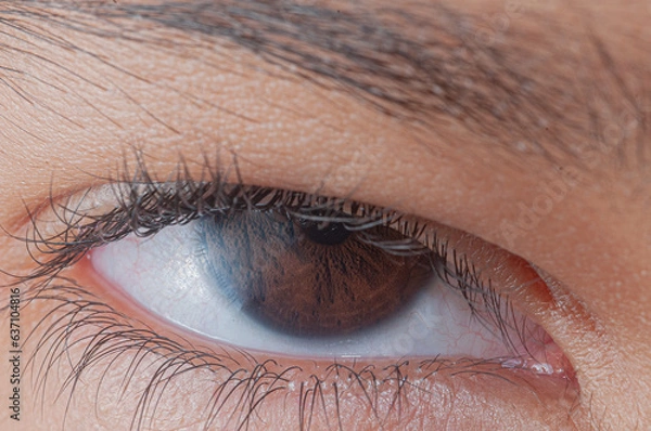 Obraz Ojo humano
