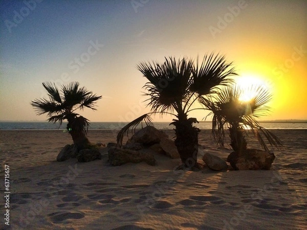 Obraz Beautiful sunset in a tropical beach