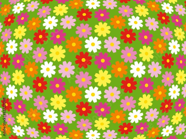 Fototapeta コスモス-眼B