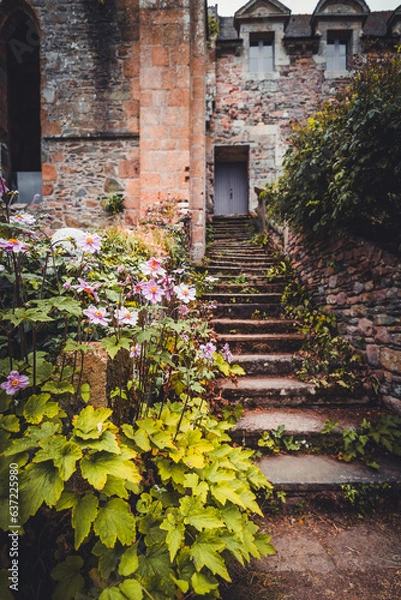 Obraz old wall with flowers