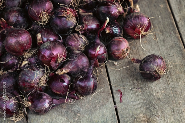 Obraz Red onions