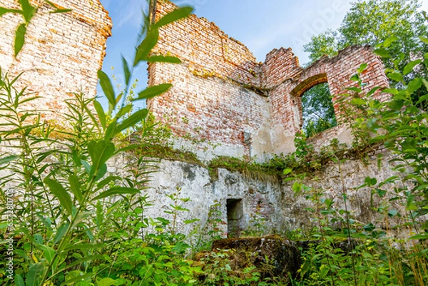 Fototapeta Ruiny mur ceglany