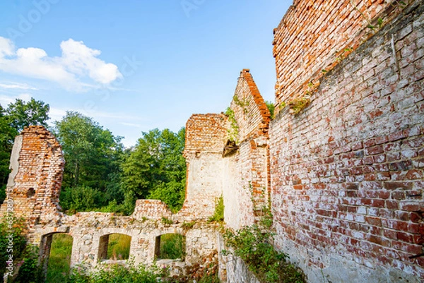 Fototapeta Ruiny mur ceglany