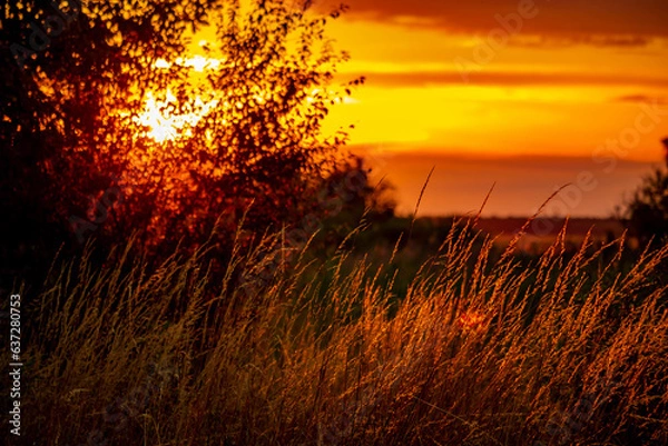 Fototapeta Zachód słońca