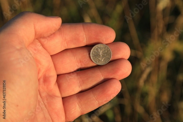 Fototapeta Small foreign coin in hand
