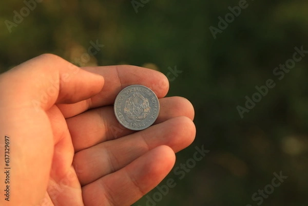 Fototapeta Coin one leu in hand