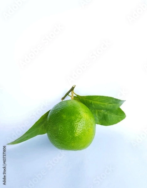 Fototapeta lime with leaves on white background