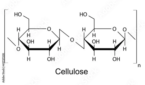 Fototapeta The structural formula of cellulose polymer