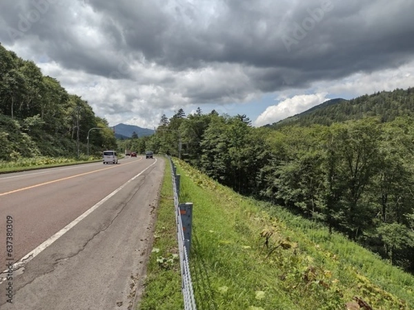 Fototapeta 山と道