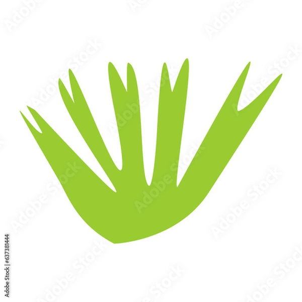 Fototapeta Algae plant abstract vector element