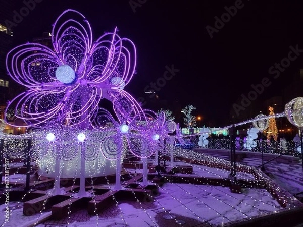 Fototapeta 雪まつり