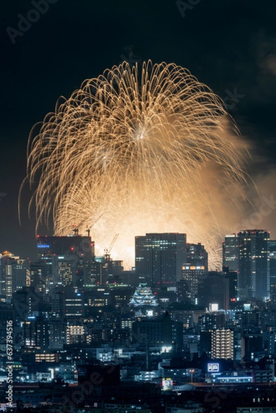 Fototapeta 城と花火