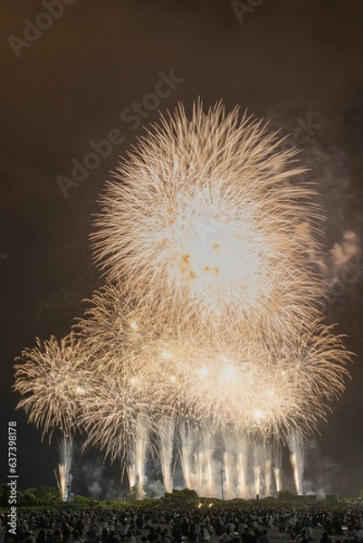 Fototapeta 花火大会