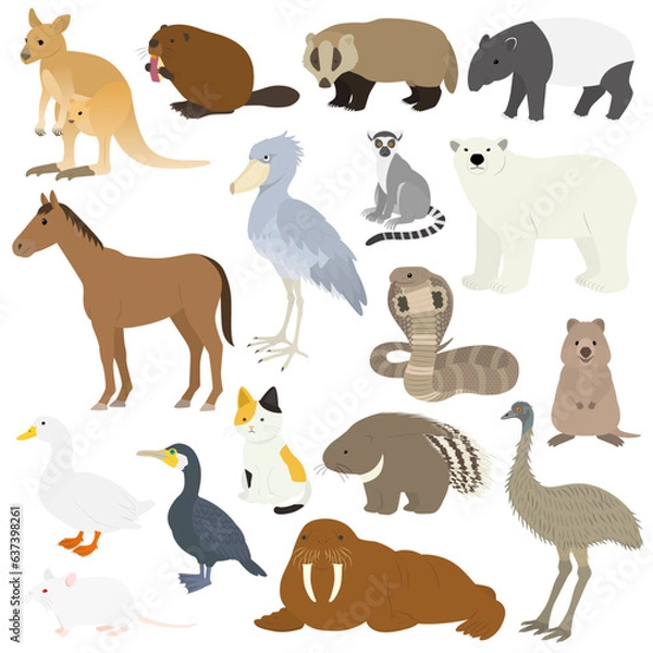 Fototapeta 動物のイラストセット