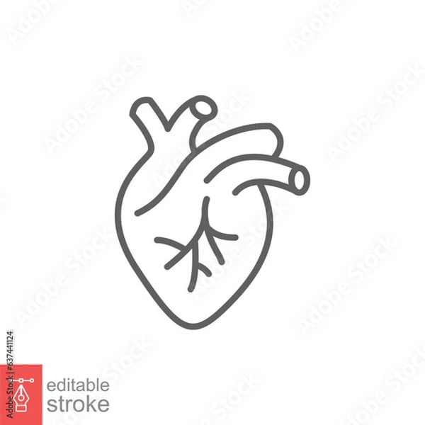 Obraz Human heart icon. Simple outline style. Internal organ, real, cardiology, cardiac anatomy, medical concept. Thin line symbol. Vector illustration isolated on white background. Editable stroke EPS 10.