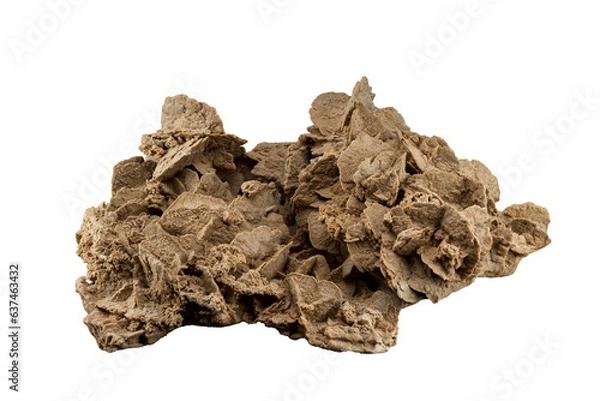 Fototapeta Isolated large sand rose with white or transparent background (size is 43 cm large , 14.5cm height and 29cm width)