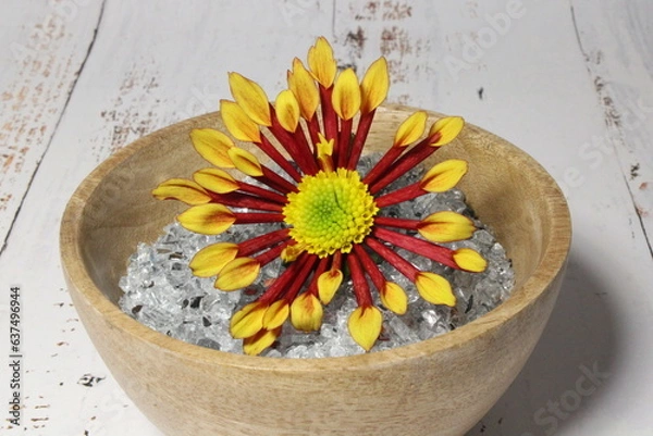 Fototapeta Blumen Deko 