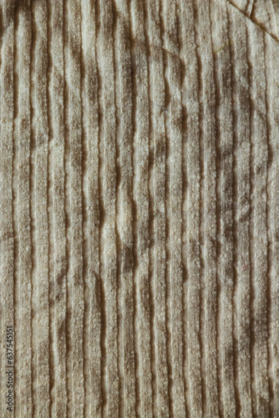 Obraz telas texturas 