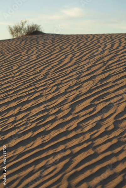 Obraz Intricate and well-defined patterns of light and shadow produced by waves in the sand at the Algodones Sand Dunes in Southern California