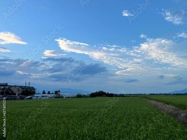 Obraz 220823田んぼ樋越
220823田んぼ今塚

田んぼ, 空, 雲, 晴れ, 夕暮れ 