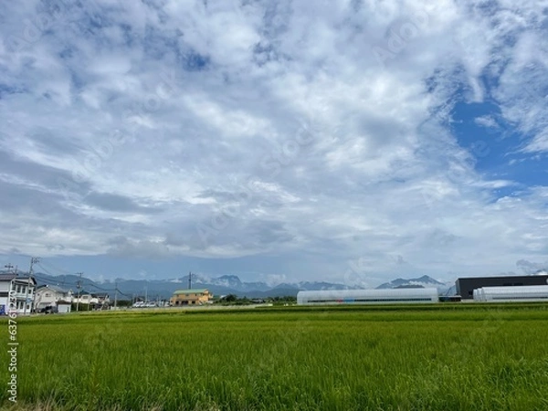 Obraz 210822伊勢そば

田んぼ, 東根市伊勢そばのちかく, 空, 雲, 晴れ 