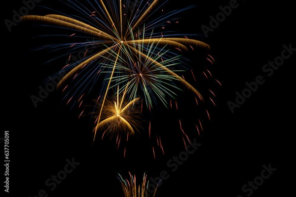 Obraz fireworks in the night sky