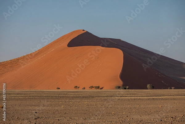 Fototapeta Dunes dans le désert du Namib, Namibie