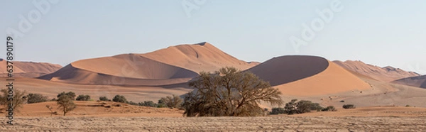 Obraz Dunes dans le désert du Namib, Namibie