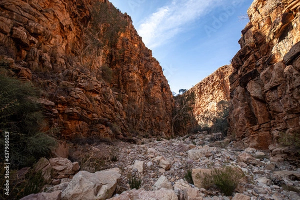 Obraz Randonnée de l'Olive trail dan sle parc du Naufluck en Namibie