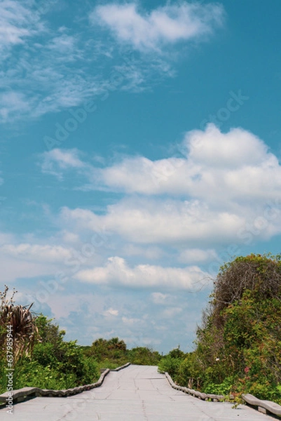 Obraz path to the beach