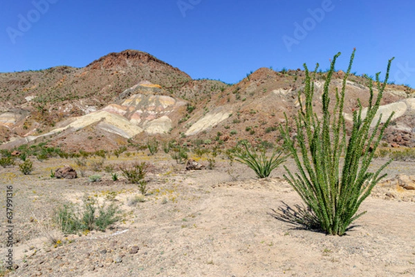 Obraz Big Bend National Park