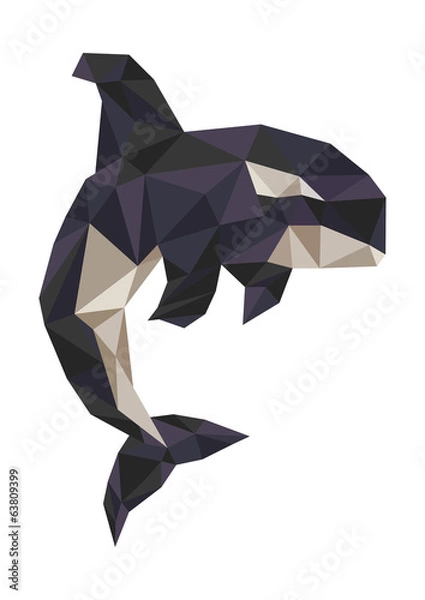 Obraz killer whale