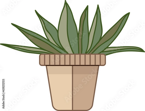 Obraz cereus cactus in a pot