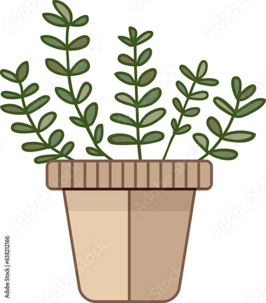 Obraz cereus cactus in a pot