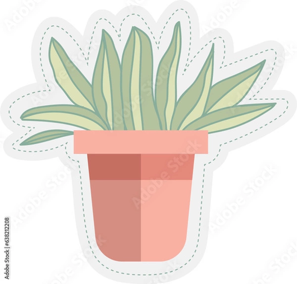 Obraz cereus cactus in a pot