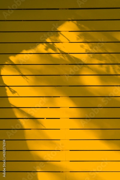 Fototapeta Yellow Color Wooden Fence With Softlight And Shadow Background