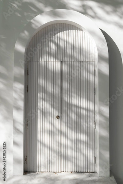Fototapeta White arched door with softlight and shadow texture background, Arched exterior door background