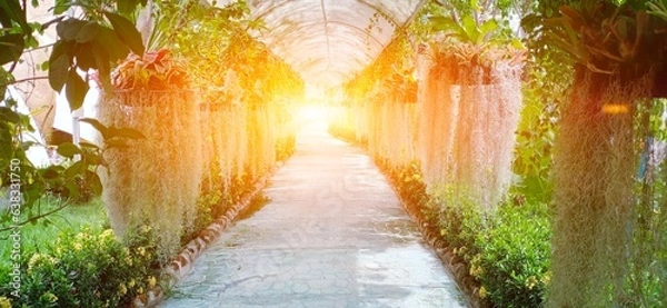 Obraz sunset in the park