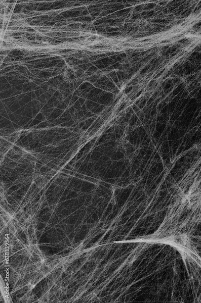 Fototapeta Cobweb on Black Background, Abstract Texture, Halloween Design, Spider Web Texture
