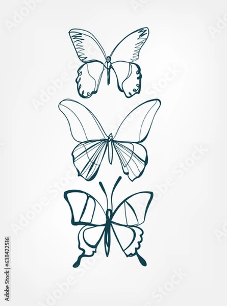 Obraz butterfly vector line art animal wild life single one line hand drawn illustration isolated