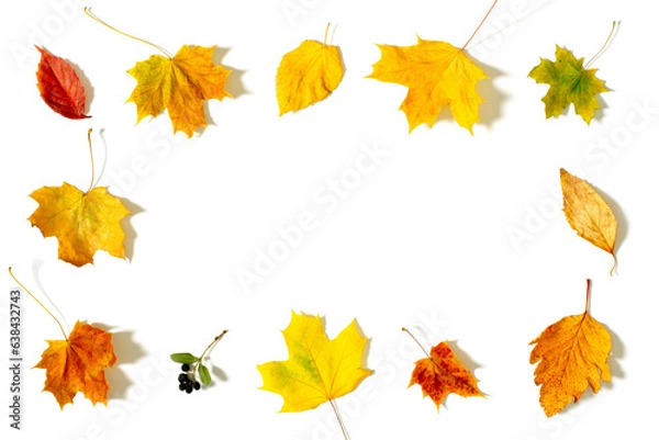 Fototapeta Flat fall leaves invitation design leaves template autumn greeting card autumn invitation blank autumn frame leaves isolated on white background fall frame border. Copy space. Flat layout fall design