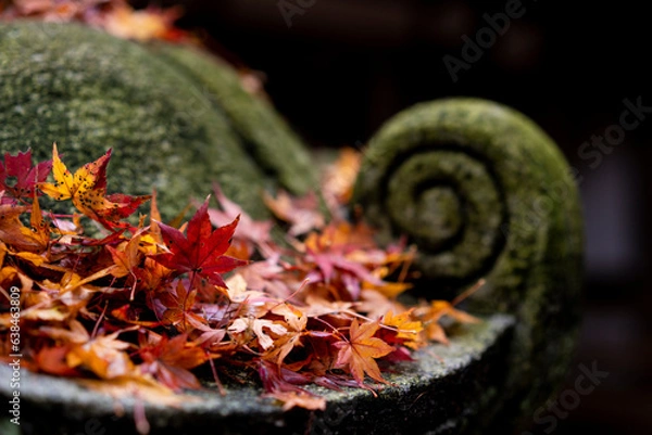 Obraz 紅葉と神社　日本